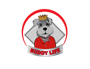 Buddy Life 