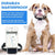 Waterproof Pet Collar GSM Tracking Locator