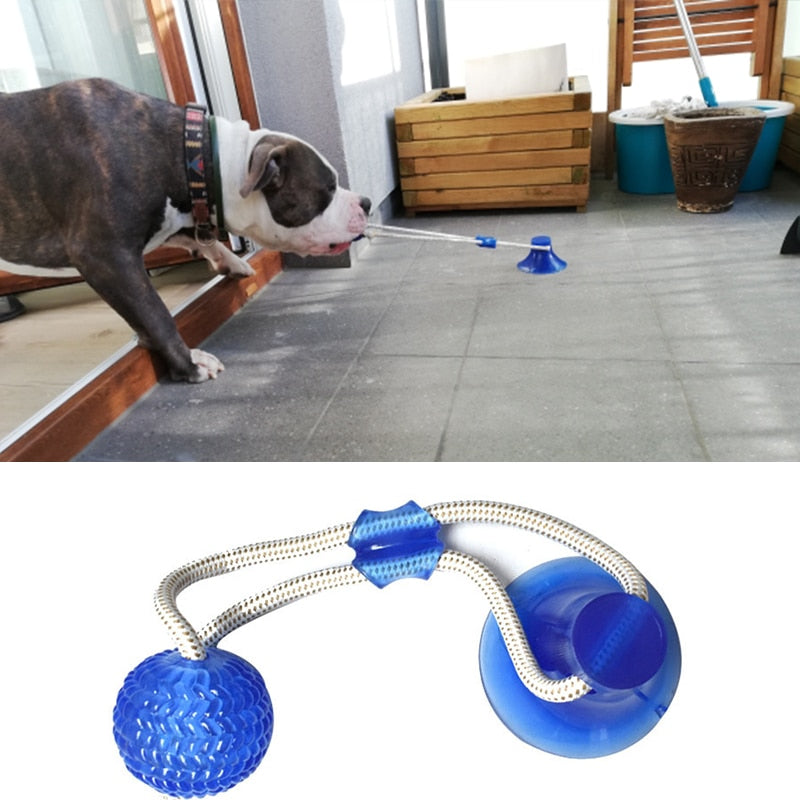 Dog Toy With Suction Cup, Dog Molar Bite Toy Suction Cup Dog Toy,  Multifunctional Dog Toy Ball