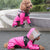 Waterproof Dog Jacket Water Resistant Clothes